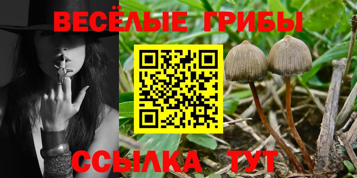 Уссурийск  Галлюциногенные грибы ЛСД  Псилоцибиновые грибы Psilocybe  Вход с VPN 