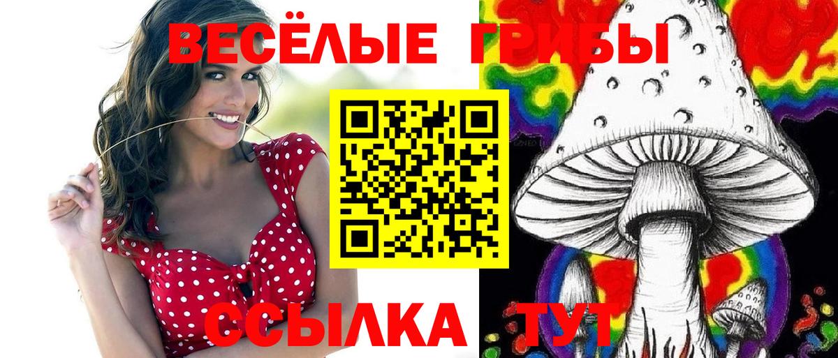 Псилоцибиновые грибы GOLDEN TEACHER Уссурийск